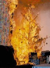 Tannenbaum brennt