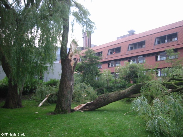 Bild 1 zum Einsatz 174/2008