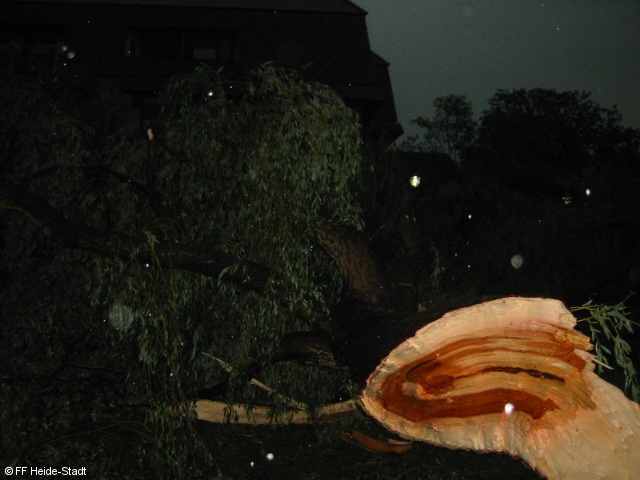 Bild 2 zum Einsatz 174/2008
