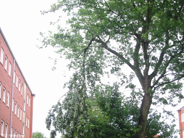 Bild 1 zum Einsatz 175/2008