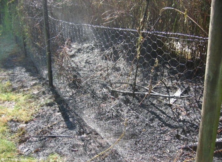 Bild 3 zum Einsatz 113/2010