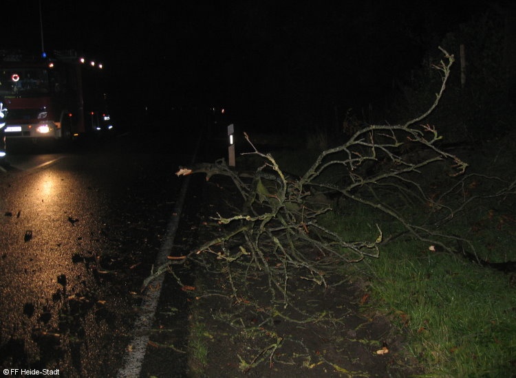 Bild 2 zum Einsatz 214/2010