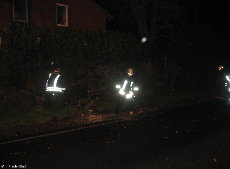 Bild 3 zum Einsatz 214/2010