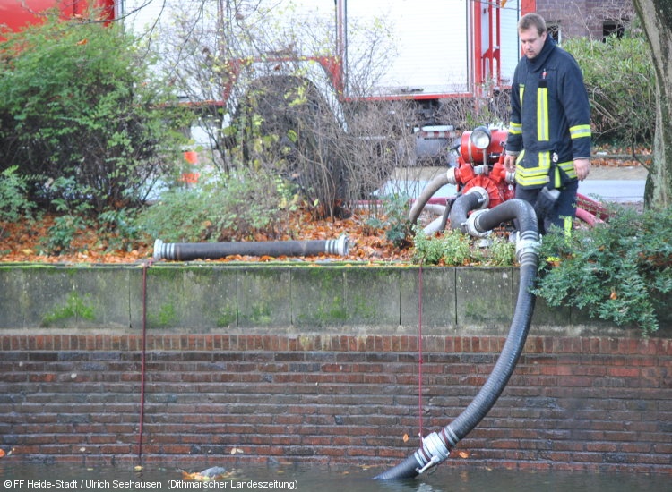 Bild 6 zum Einsatz 232/2010