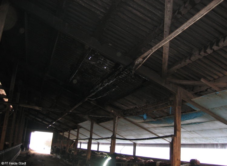 Bild 3 zum Einsatz 253/2010