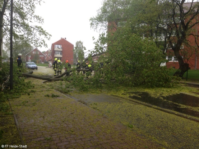 Bild 2 zum Einsatz 074/2013