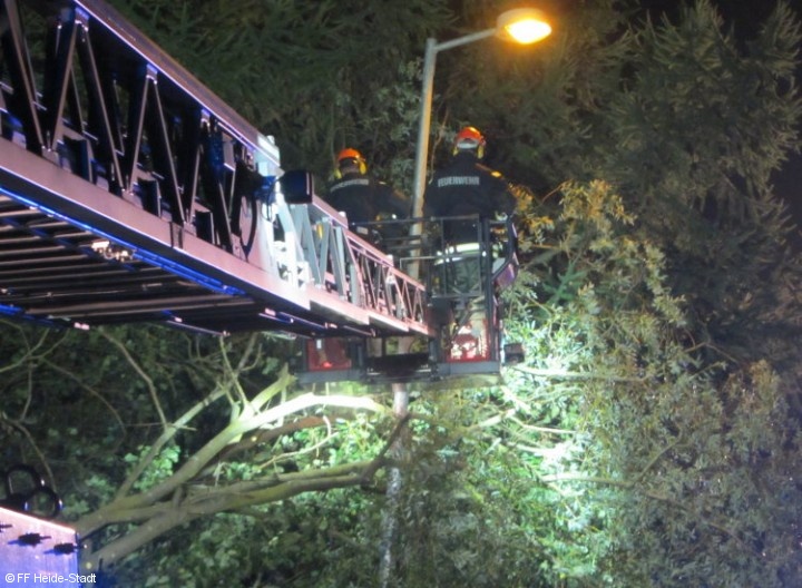 Bild 3 zum Einsatz 200/2013