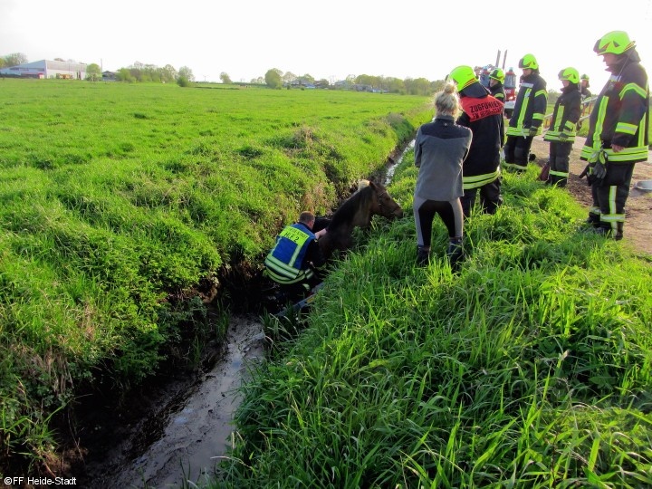 Bild 1 zum Einsatz 050/2015