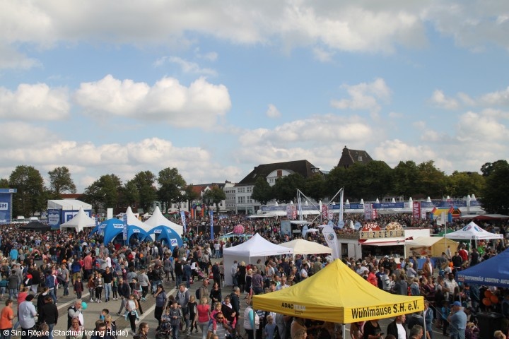 Bild 6 zum Einsatz 132/2017