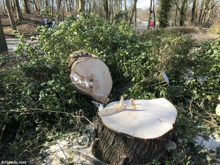 Bild 6 zum Einsatz 046/2018