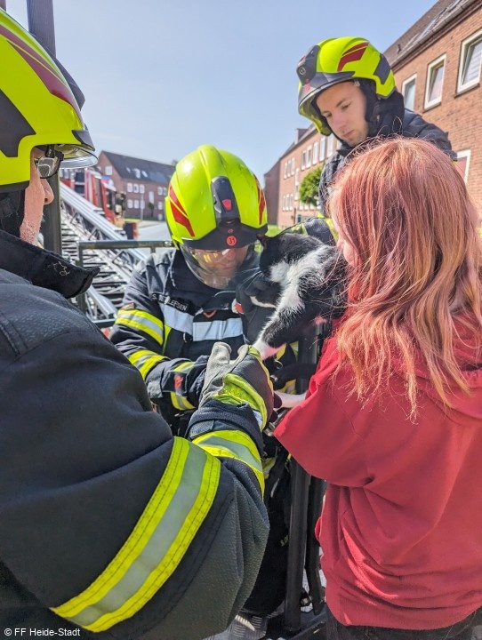 Bild 3 zum Einsatz 079/2024