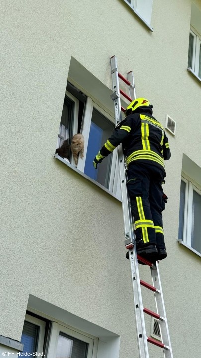 Bild 1 zum Einsatz 140/2026