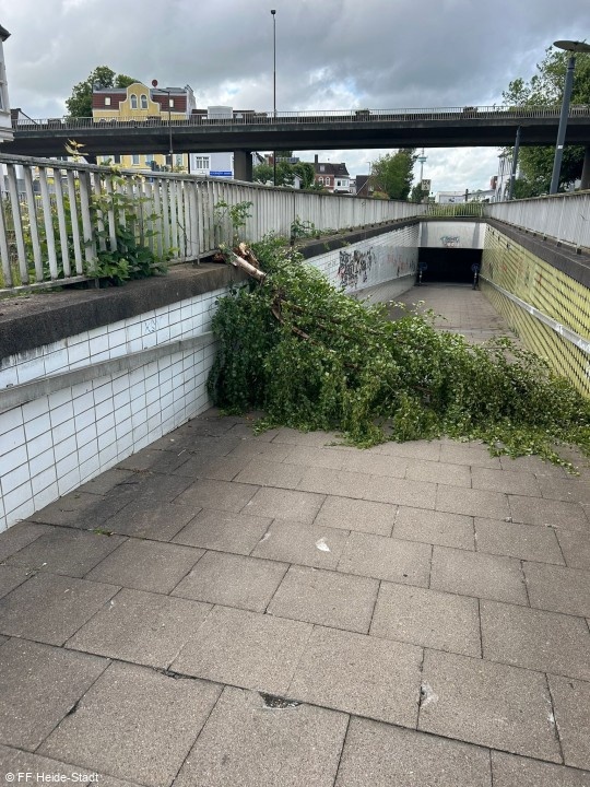 Bild 1 zum Einsatz 141/2026