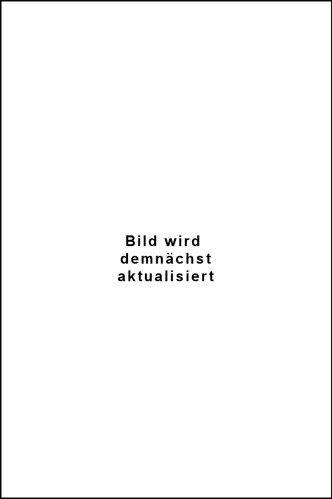 3. HLF 20  Fahrerhaus